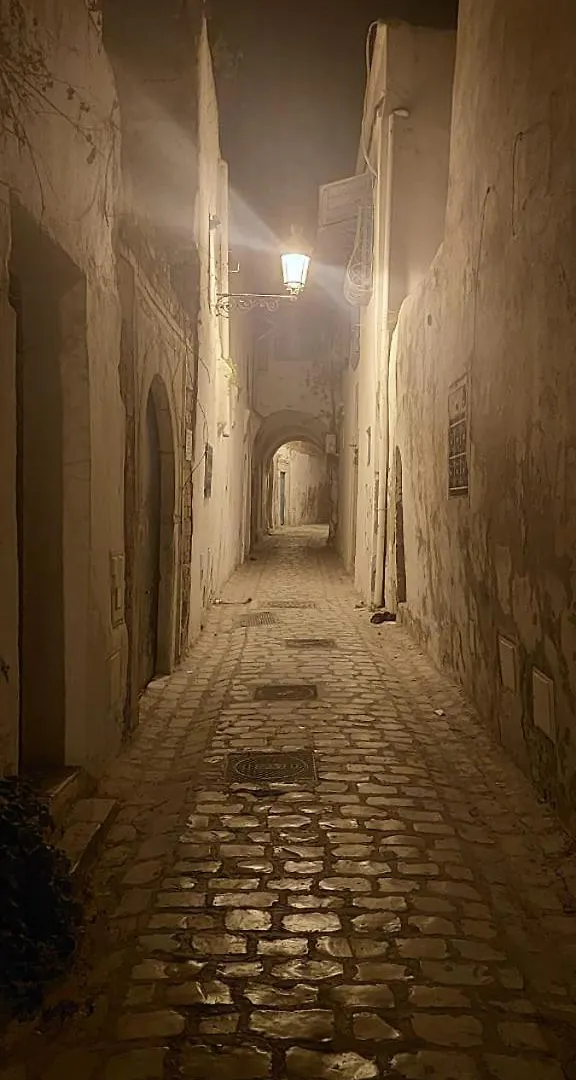 Hotel Dar Tayeb - Medina à Tunis Maison d'hôtes